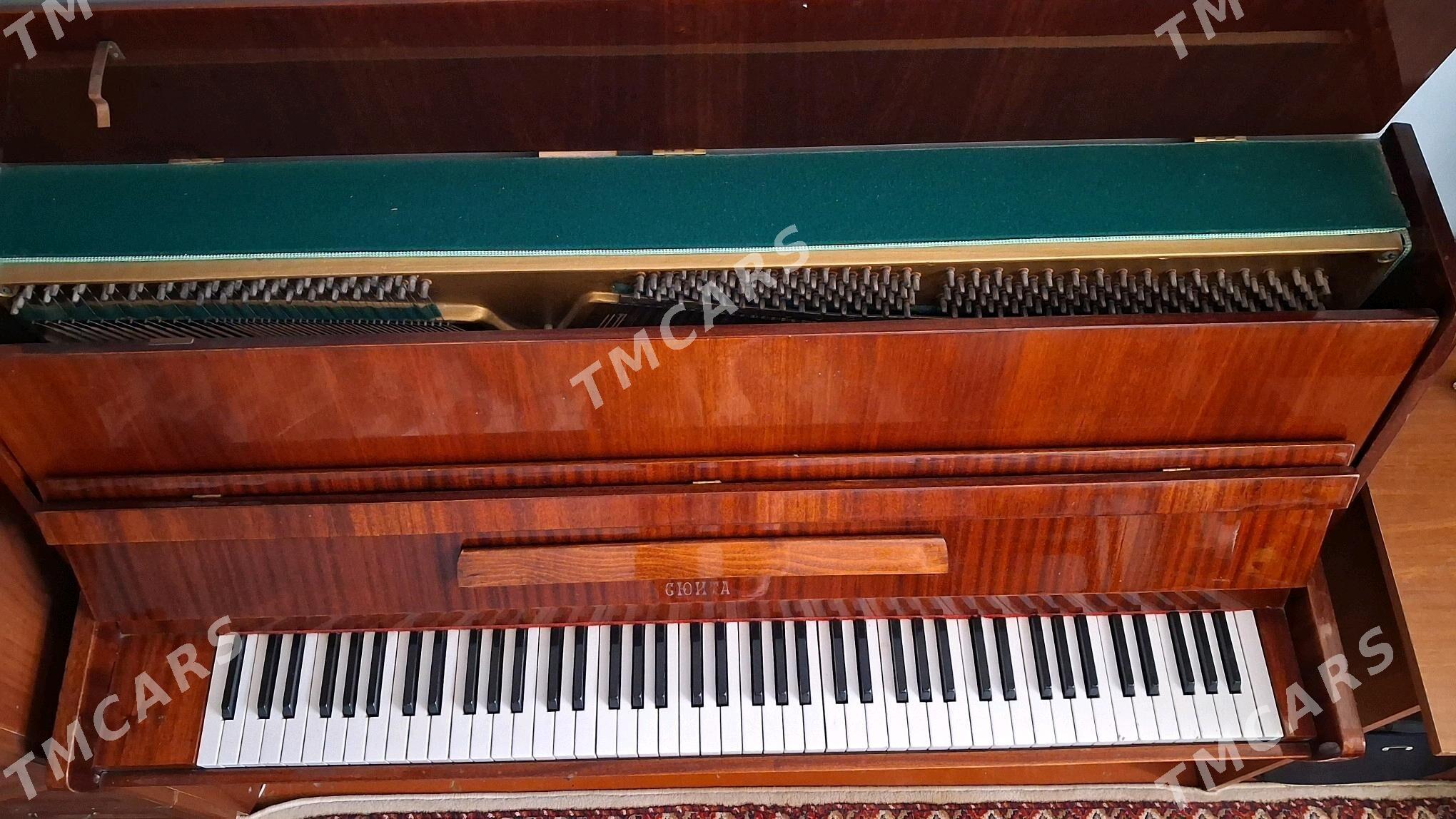 pianinq - Туркменабат - img 2