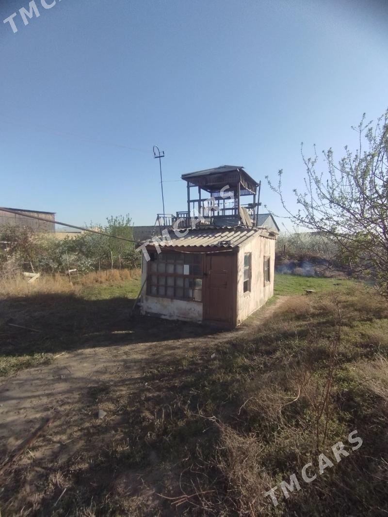 айрапорт дача - Türkmenabat - img 4