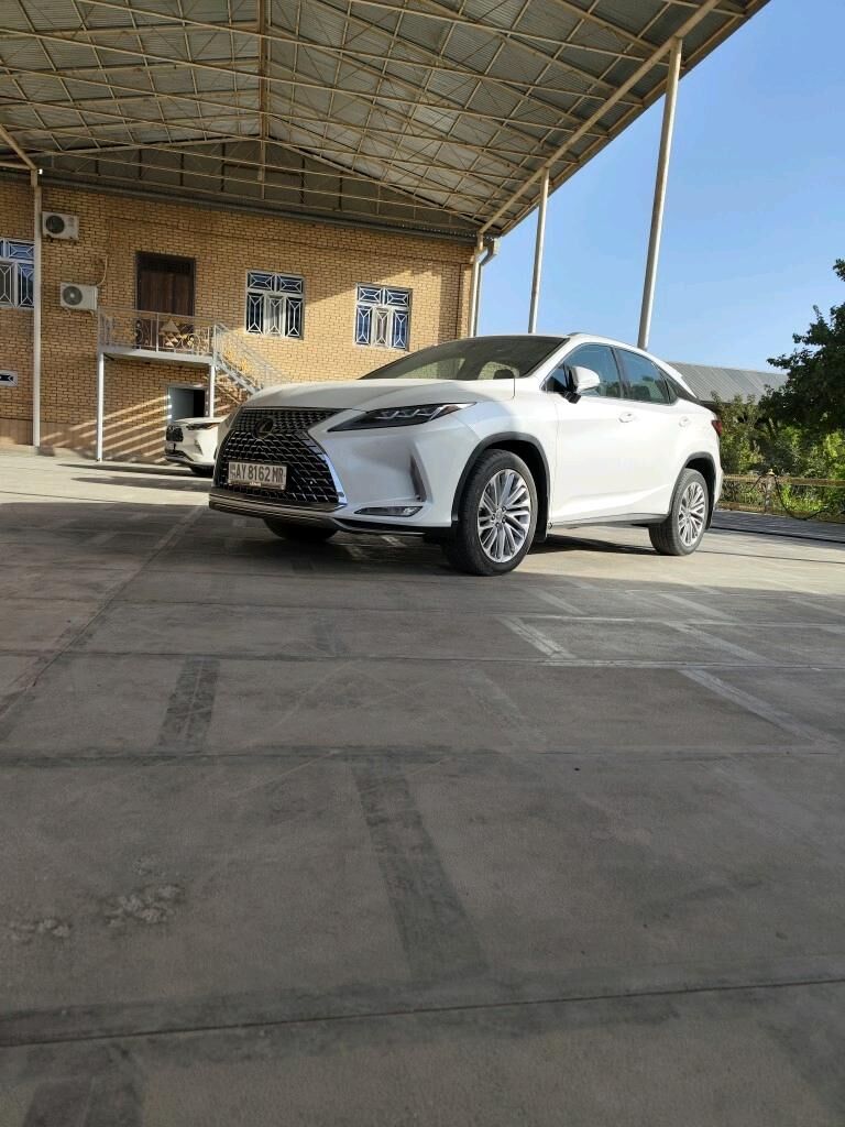 Lexus RX 350 2020 - 515 000 TMT - Mary - img 3