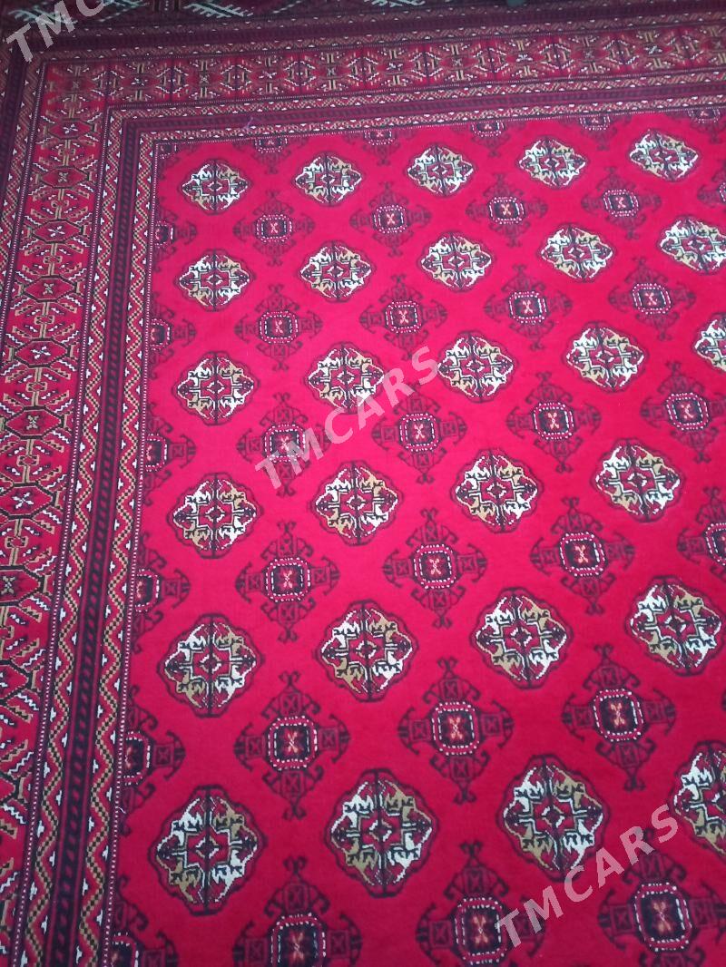 haly - Türkmenbaşy - img 1