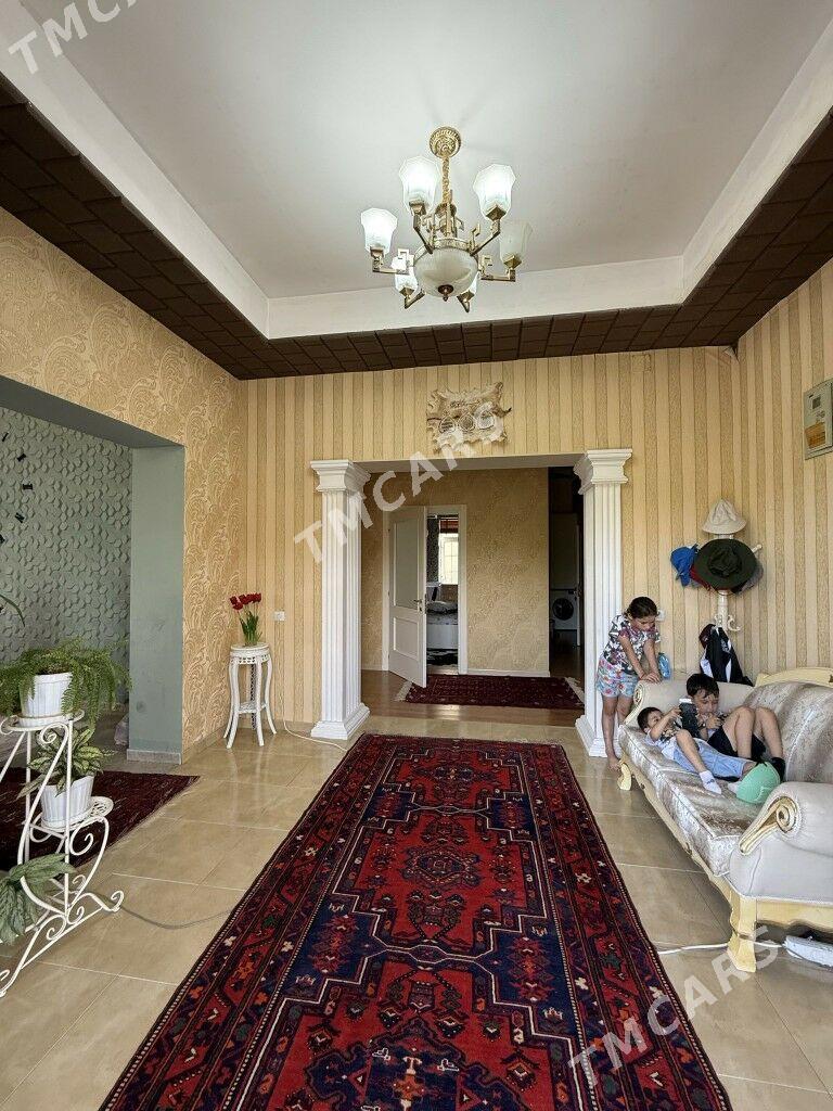köşi baý oba 12 sotuk - Aşgabat - img 5