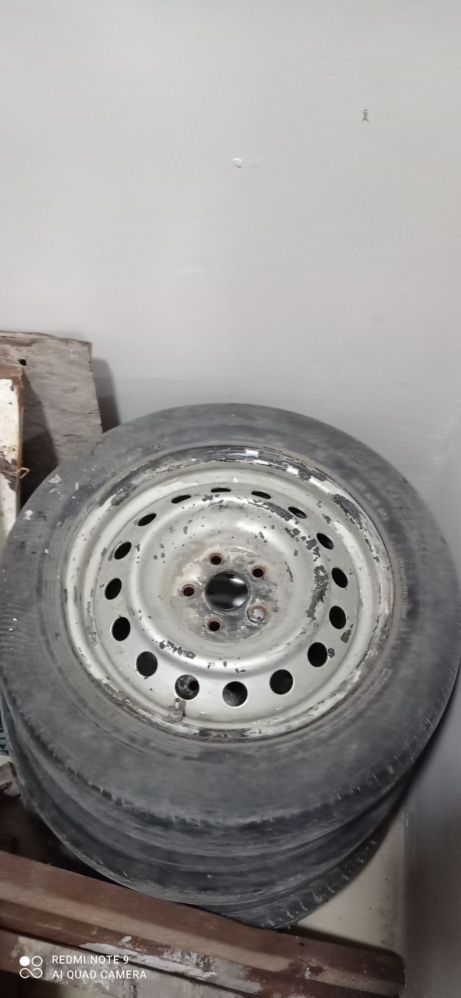 teker 300 TMT - Arkadag - img 1