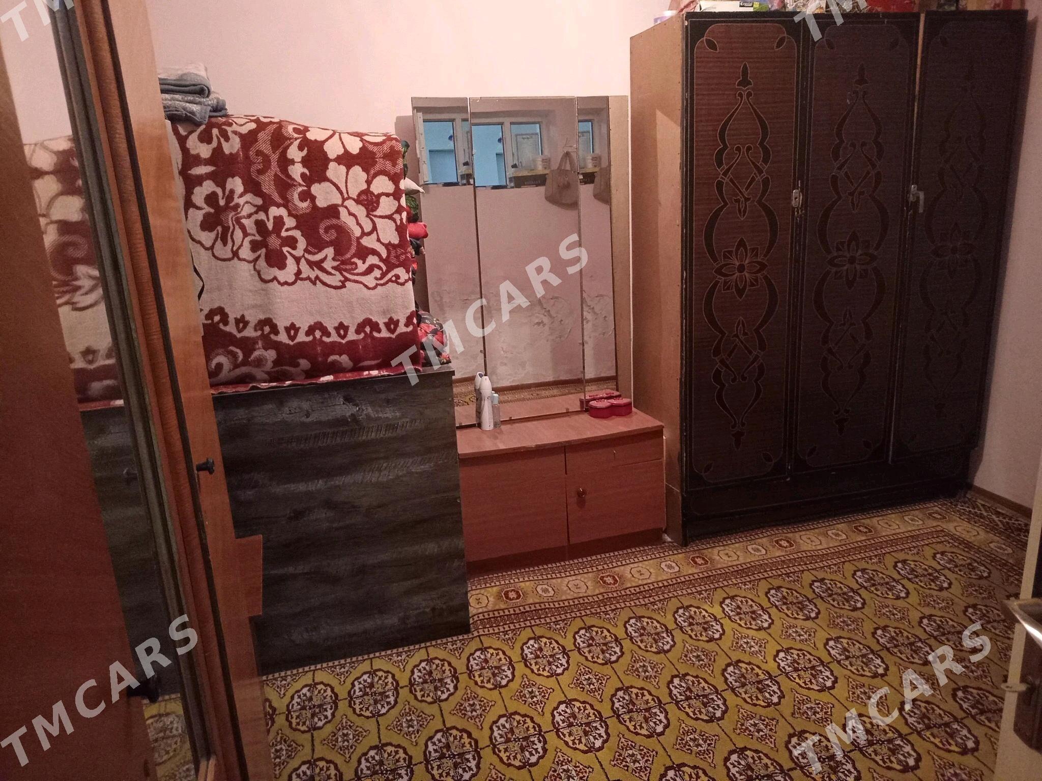9 kamsar satlyk jay - Ak bugdaý etraby - img 10