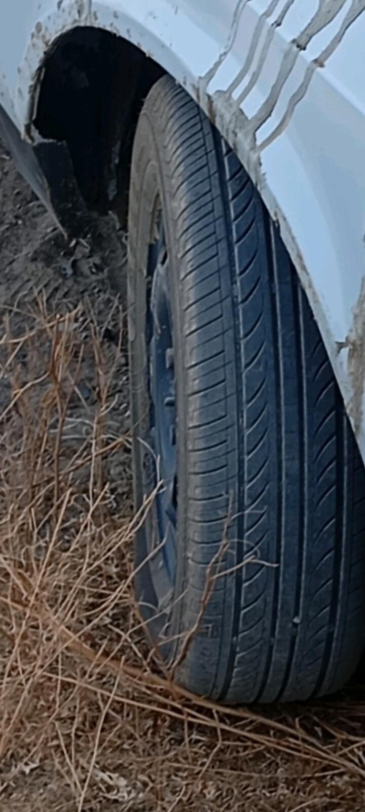 14 teker 300 TMT - Gökdepe - img 2