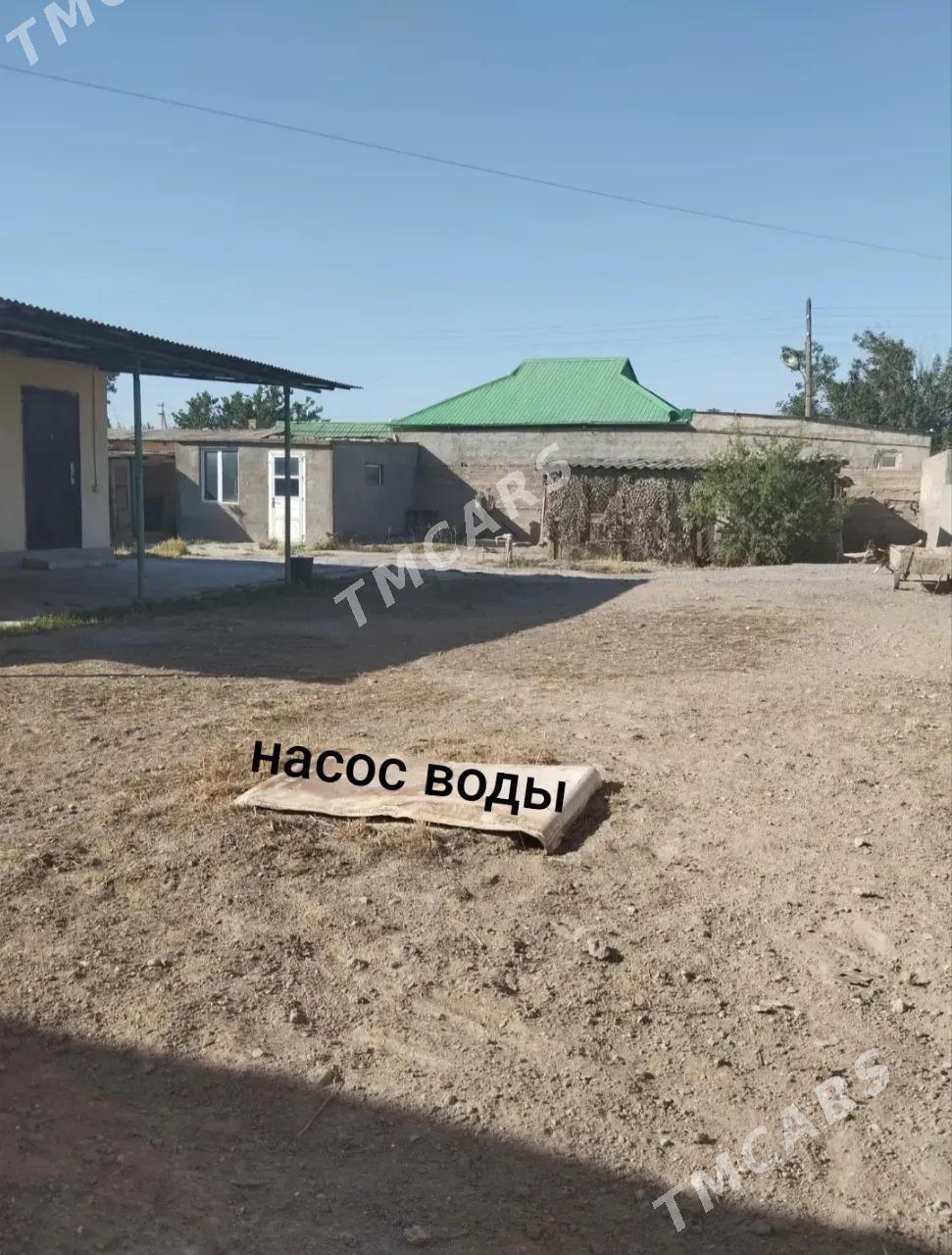 ДОМ БЕЗМЕИН ТЕКСТИЛЬНАЯ ФАБРИК - Aşgabat - img 8