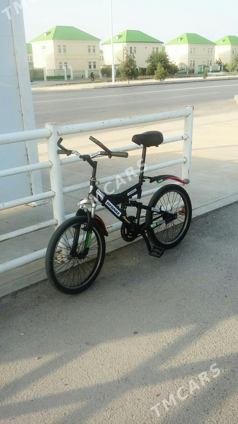 TİGİR 20 mlik - Çoganly - img 2