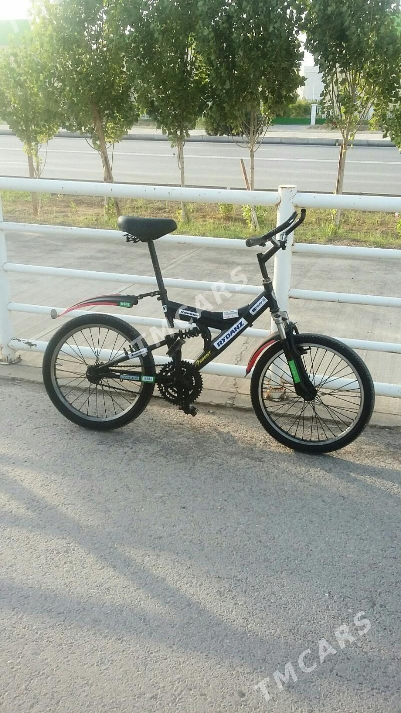 TİGİR 20 mlik - Çoganly - img 3