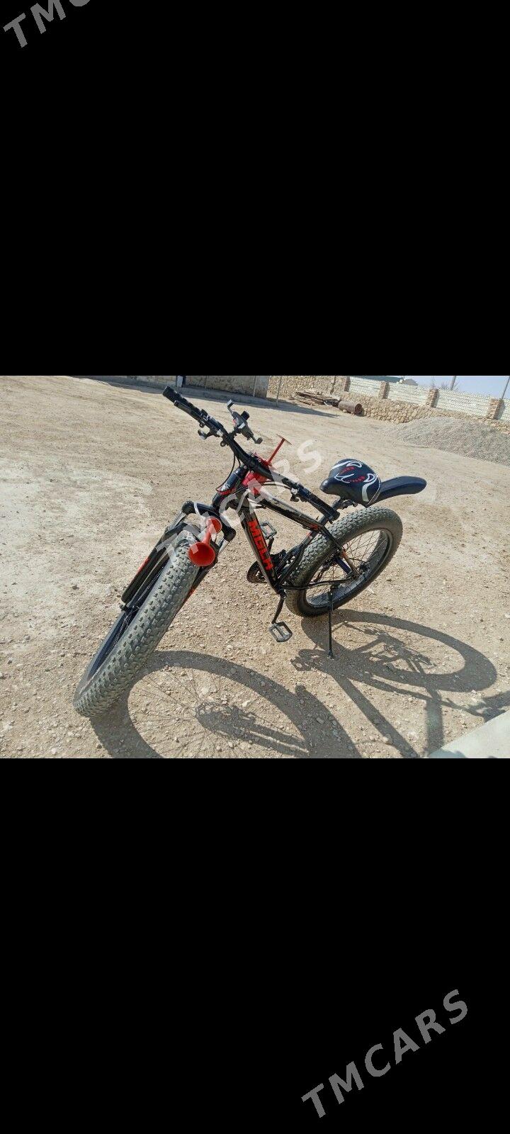 welik patca - Jebel - img 5