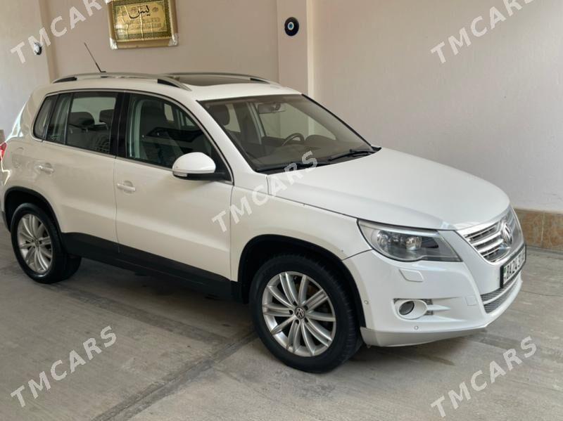 Volkswagen Tiguan 2010 - 155 000 TMT - Ашхабад - img 2