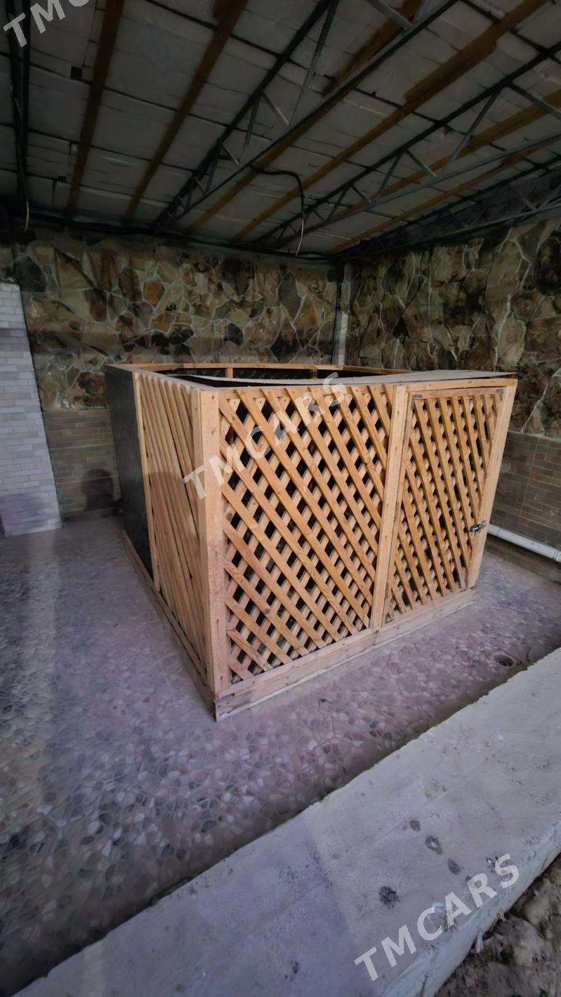 ketek it uçin hayqan uçin - Aşgabat - img 2