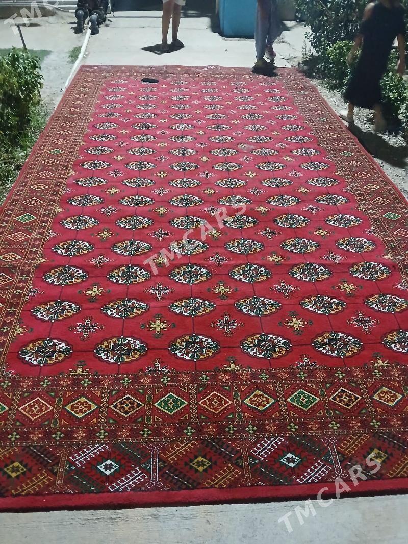 Haly - Aşgabat - img 2