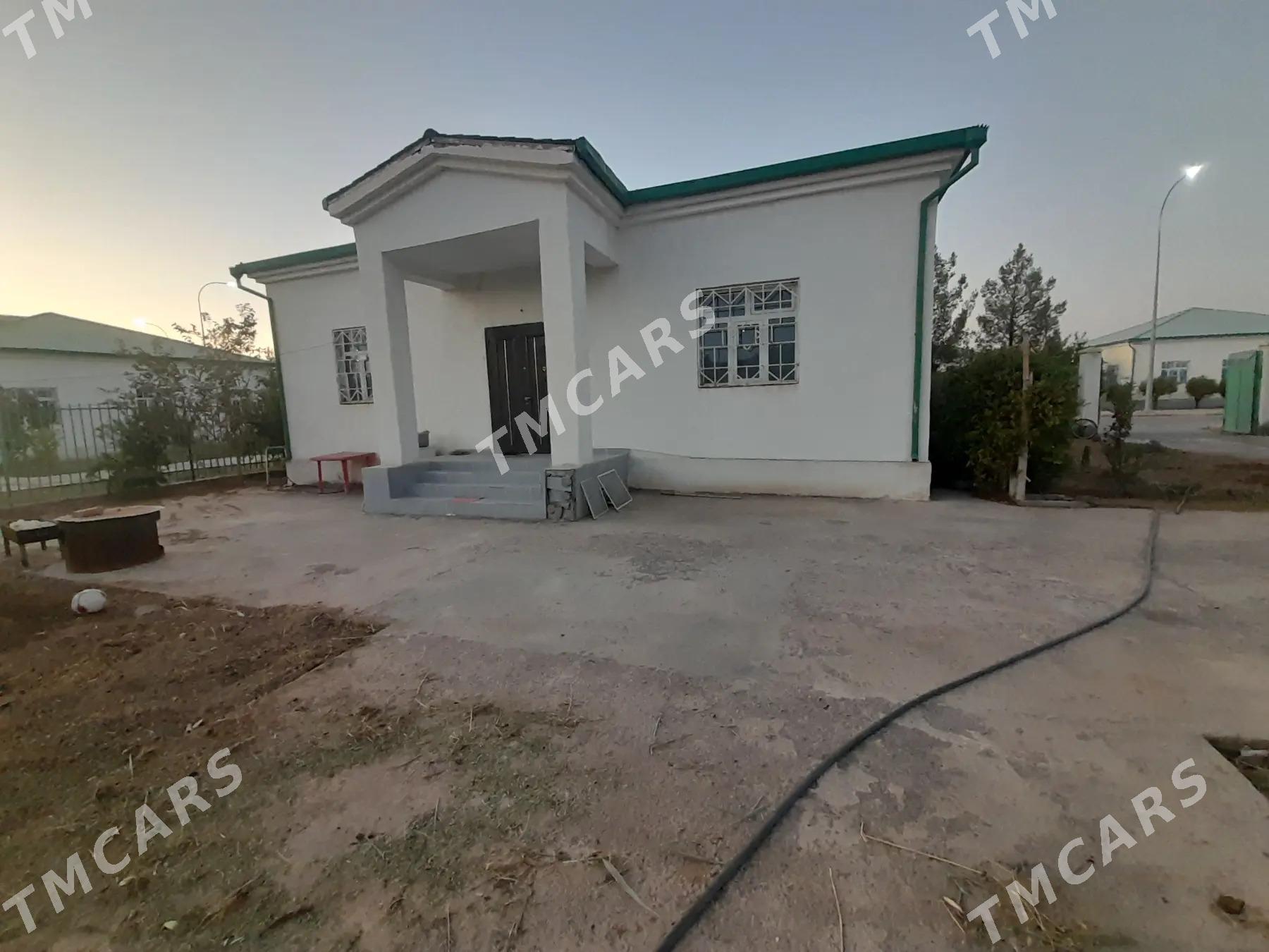 Taze zaman jaÿ - Тязе заман - img 5