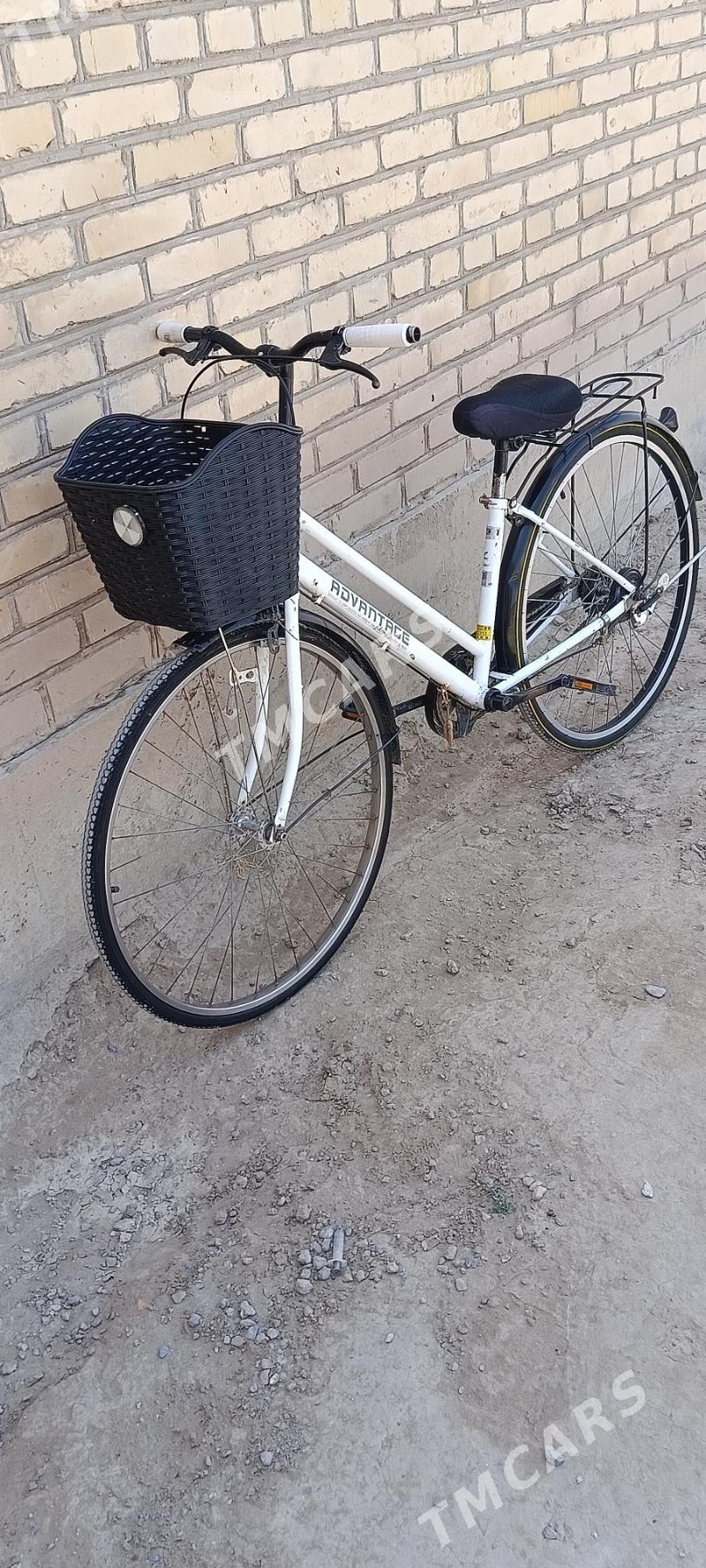 27 lik welsopet - Saýat - img 2