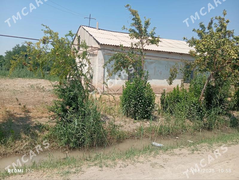 Satlyk Ýasaýys jaý - Saýat - img 3