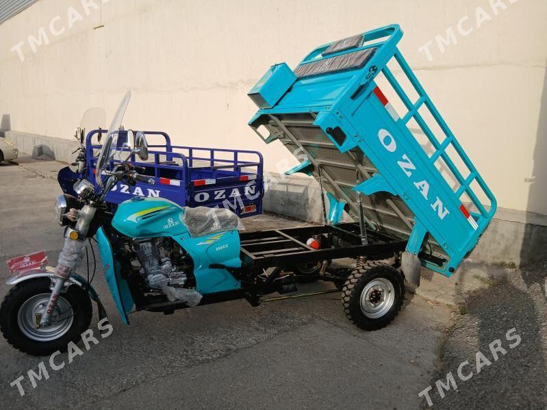 Fekon FK200-14G 2025 - 27 600 TMT - Ашхабад - img 5