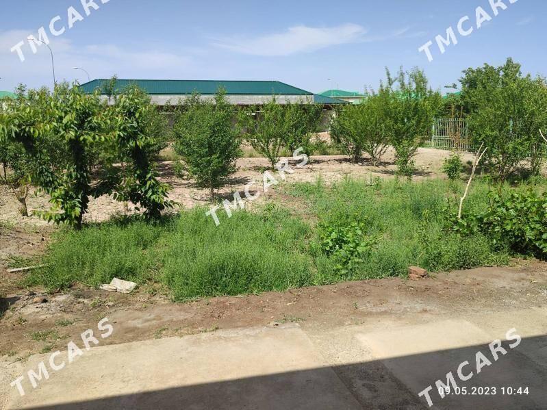 Тазе Оба 1этаж А-блог 16соток - Daşoguz - img 3