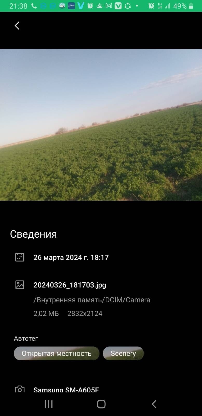 Nourivit Plus - Ашхабад - img 2