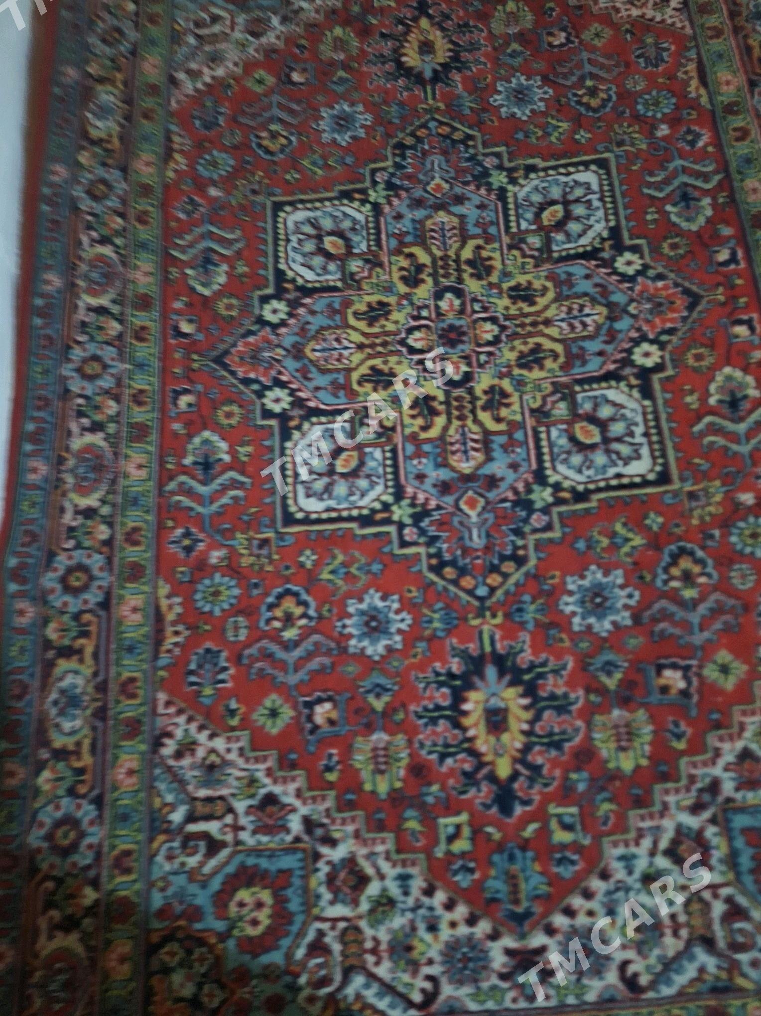haly - Türkmenbaşy - img 1