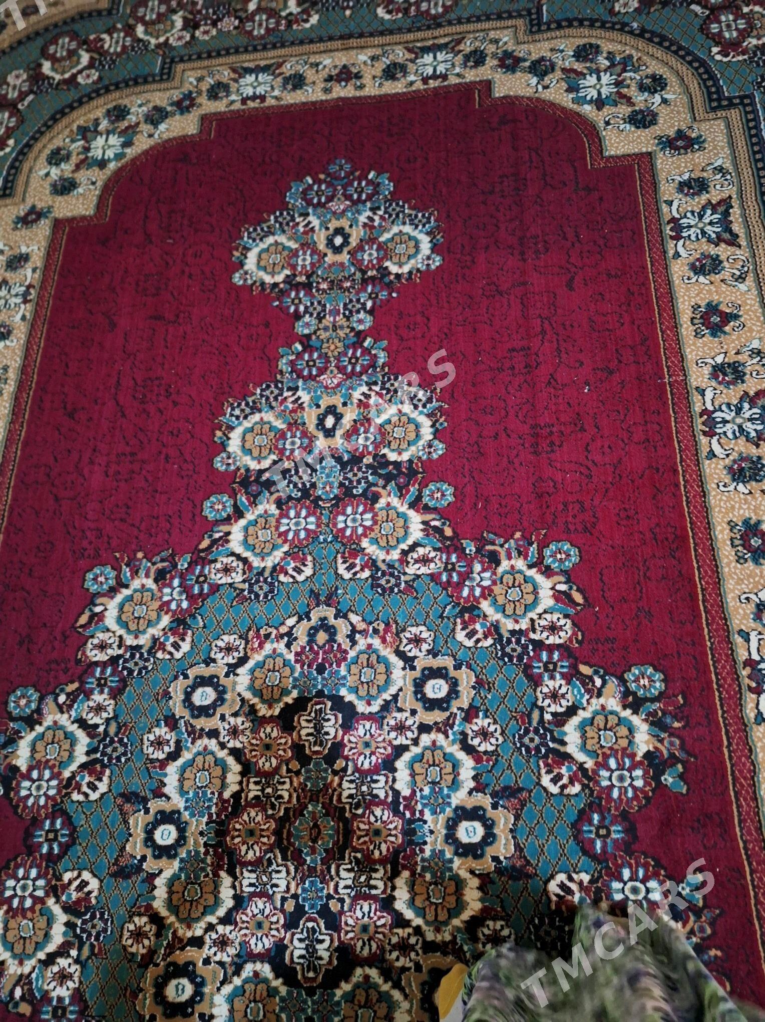 haly - Türkmenbaşy - img 2