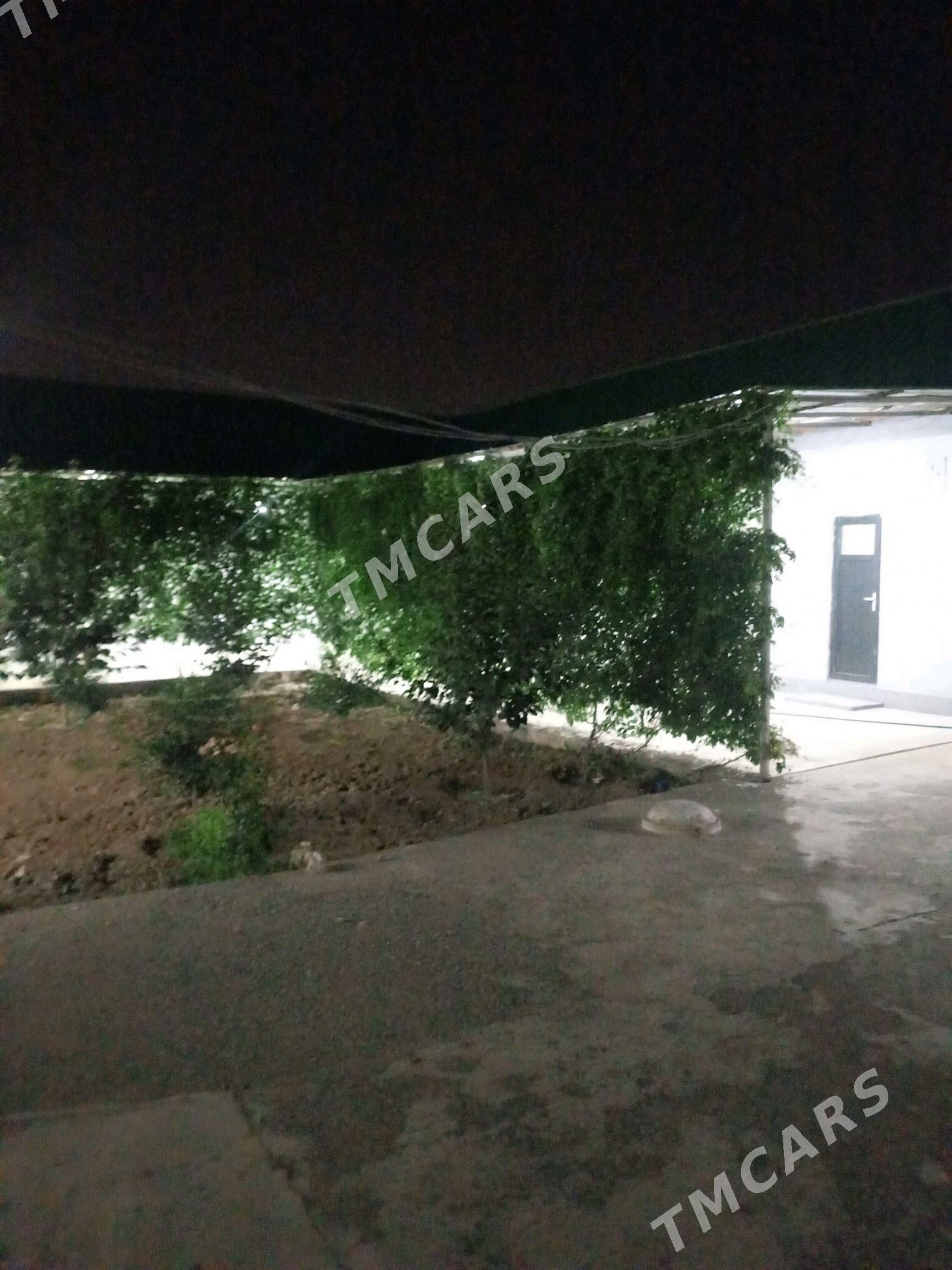 Bagyr mirewe - Багир - img 2