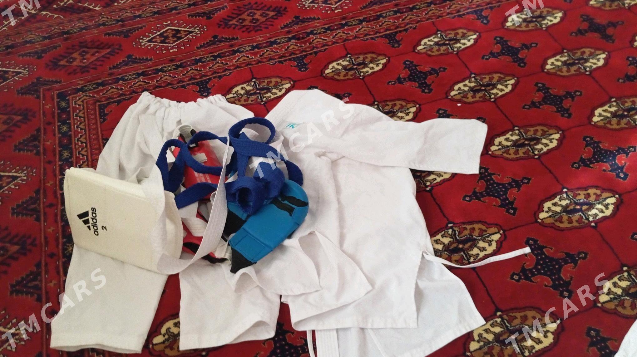 Karate eşik - Анев - img 2