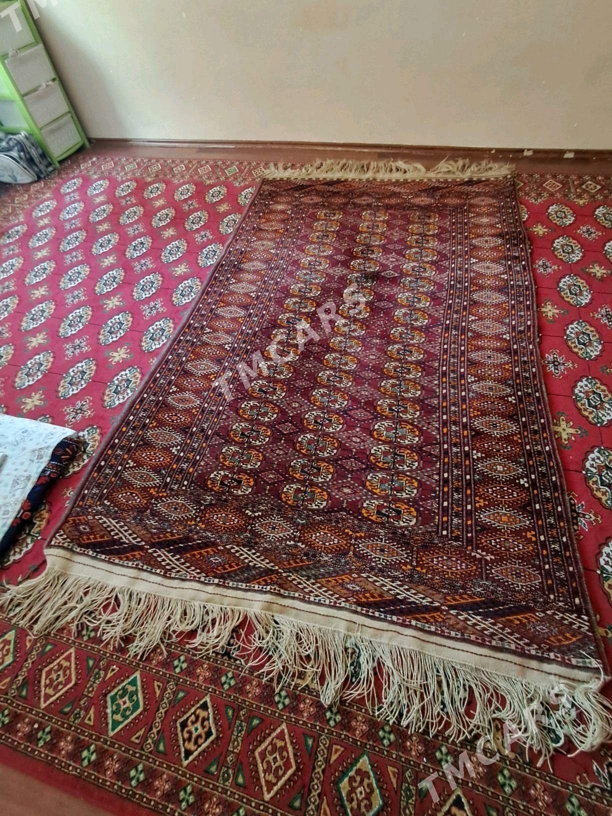 Turkmen haly - Ашхабад - img 2