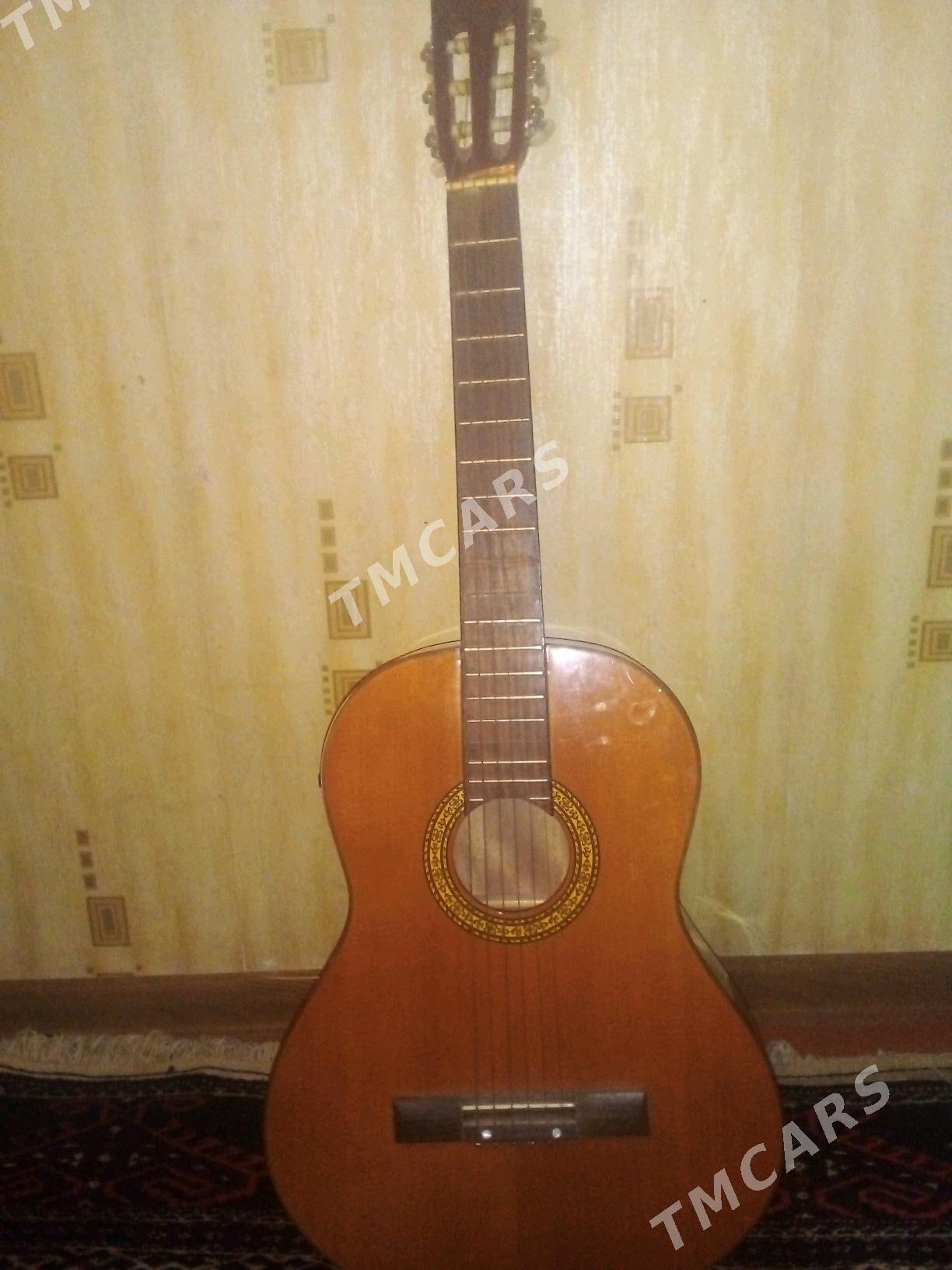 Gitara - Туркменбаши - img 4