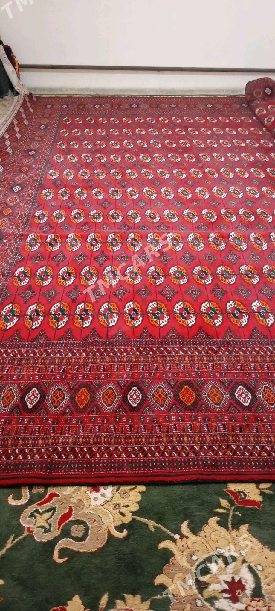 Turkmen el haly - Bäherden - img 2