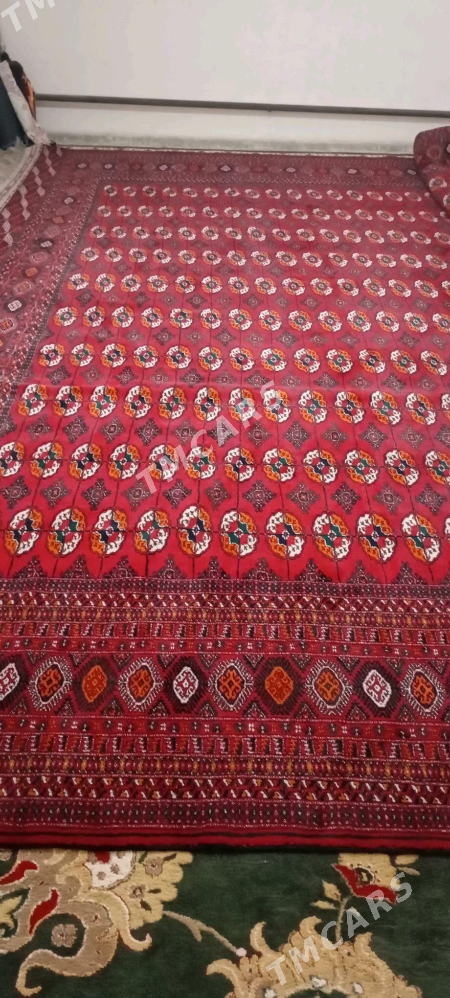 Turkmen el haly - Bäherden - img 3