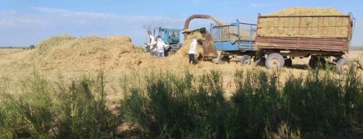 MTZ T-28 1993 - 65 000 TMT - Мары - img 9