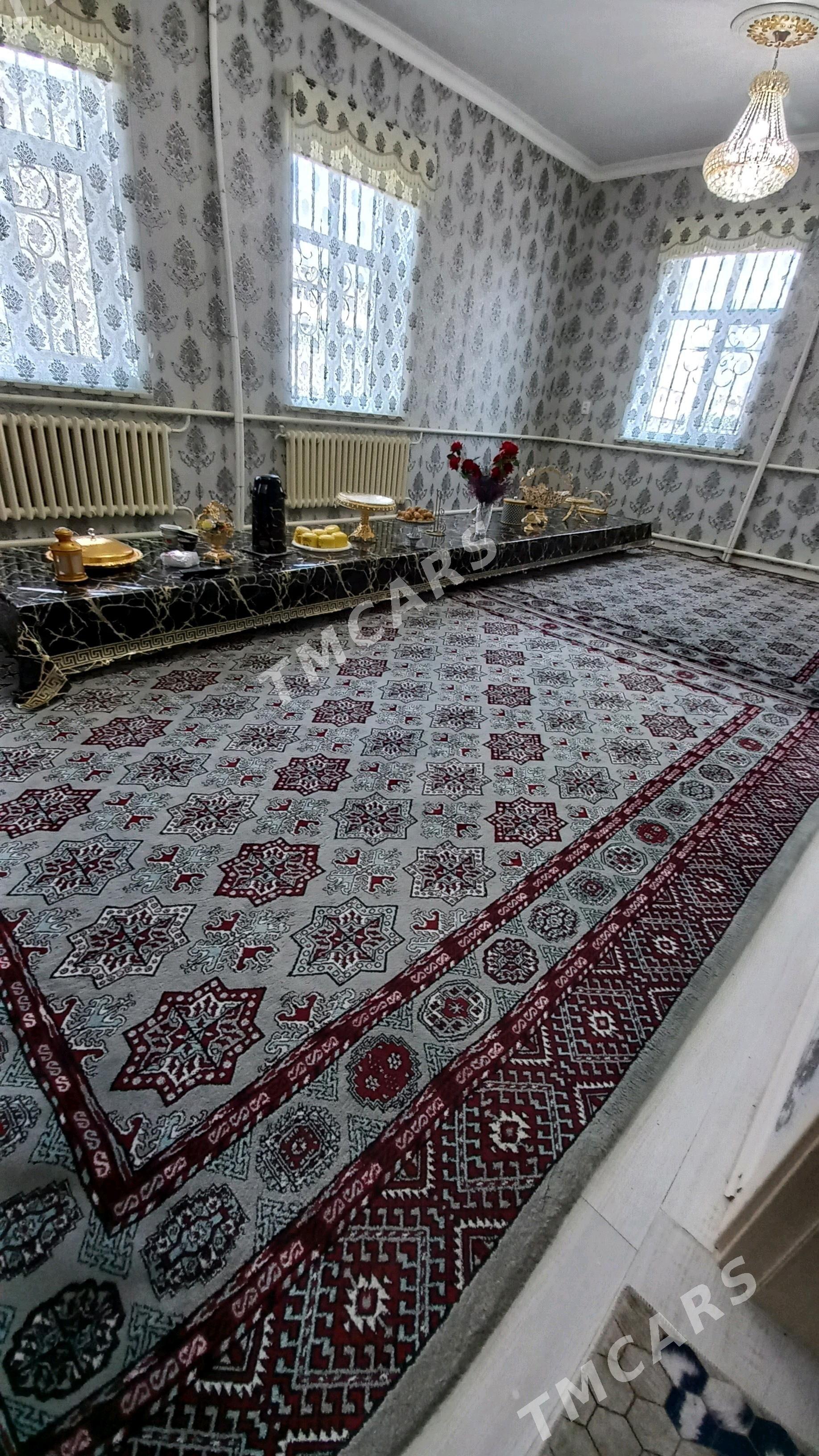 Haly - Daşoguz - img 2