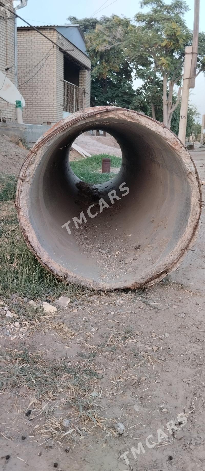 Satlyk azwes yogyn turba - Сакарчага - img 3