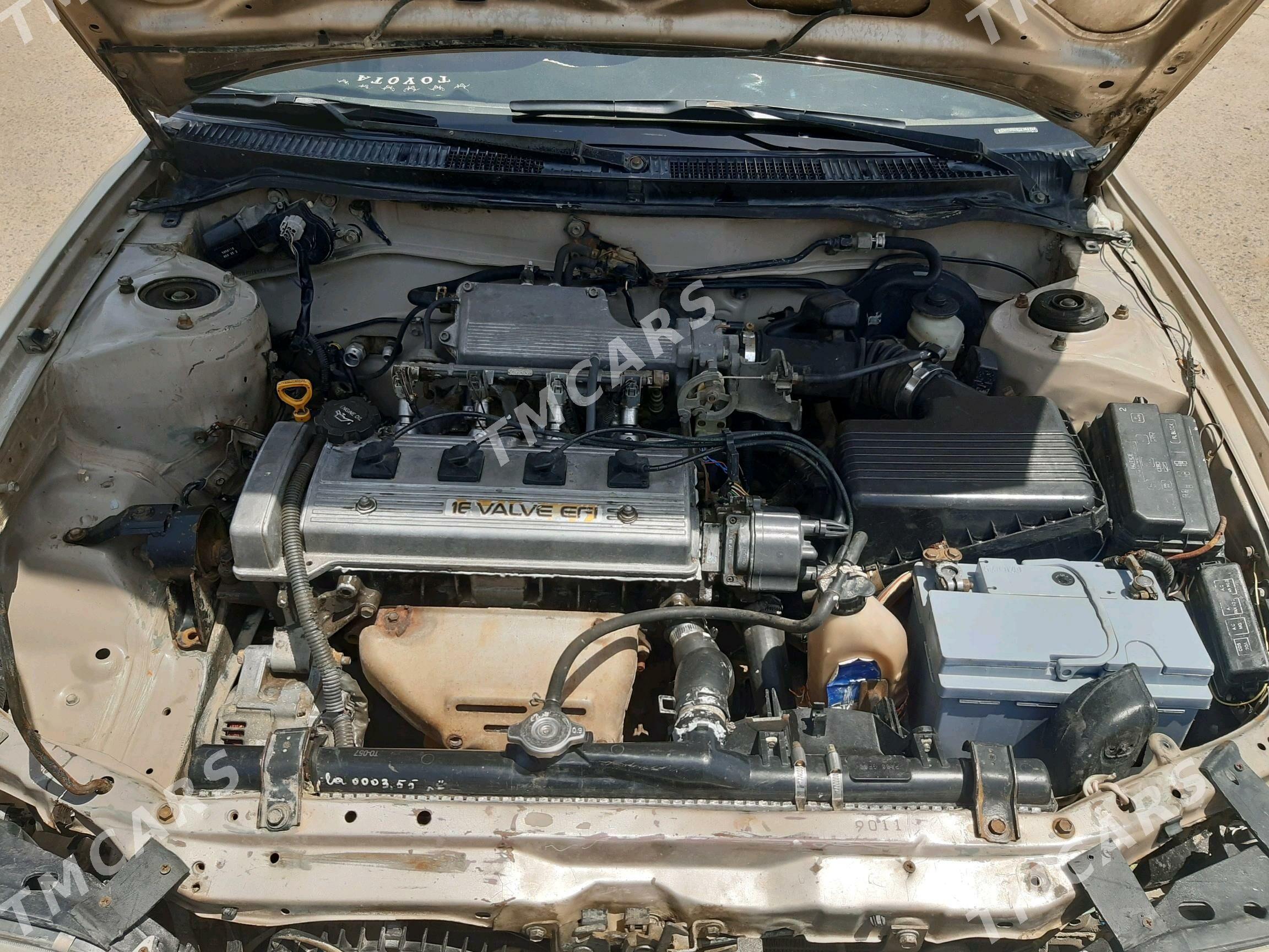 Toyota Corolla 1995 - 55 000 TMT - Мары - img 2