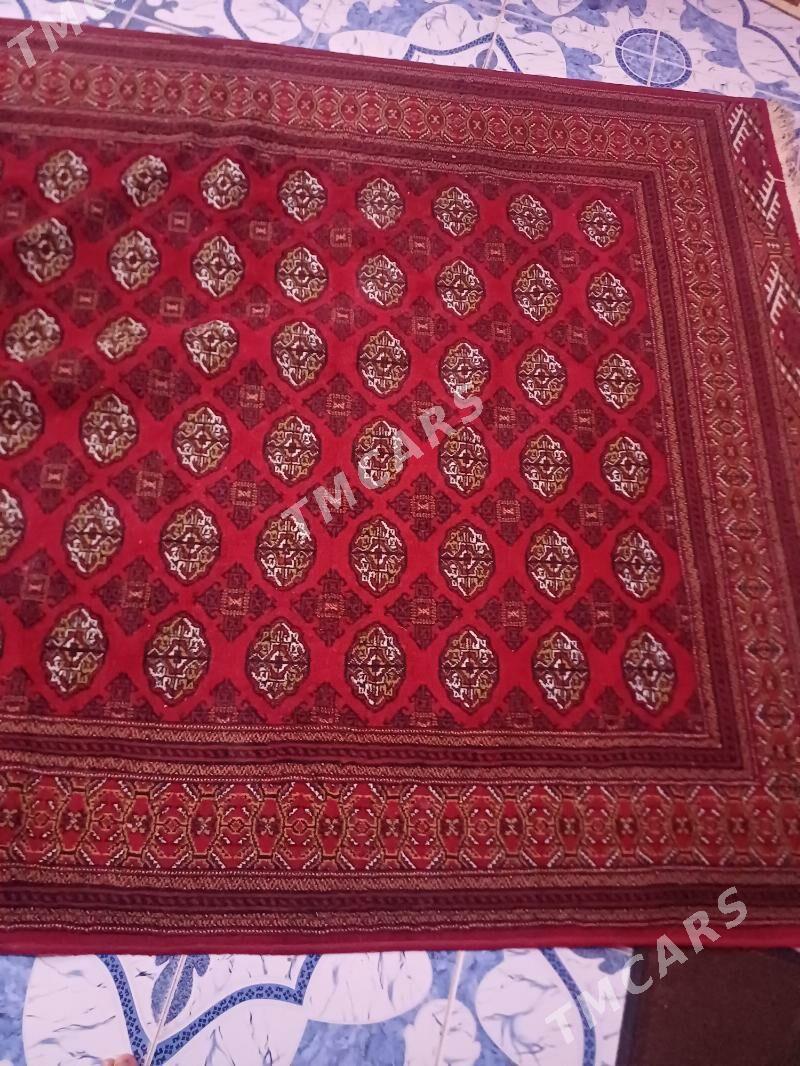 Haly - Daşoguz - img 2