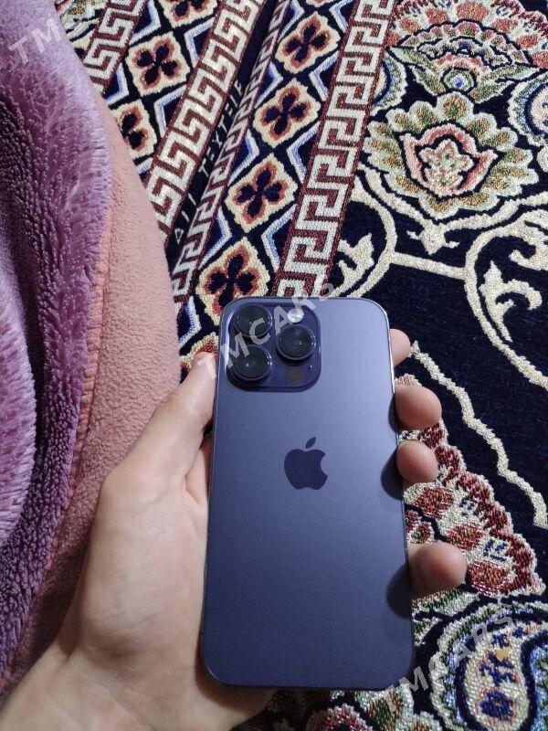 IPhone 14 Pro - Daşoguz - img 5
