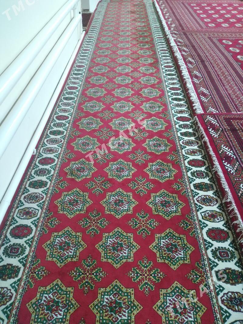 tutkmenhalysy - Daşoguz - img 2