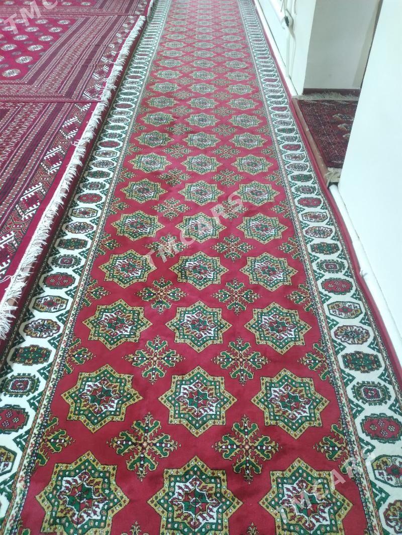 tutkmenhalysy - Daşoguz - img 3