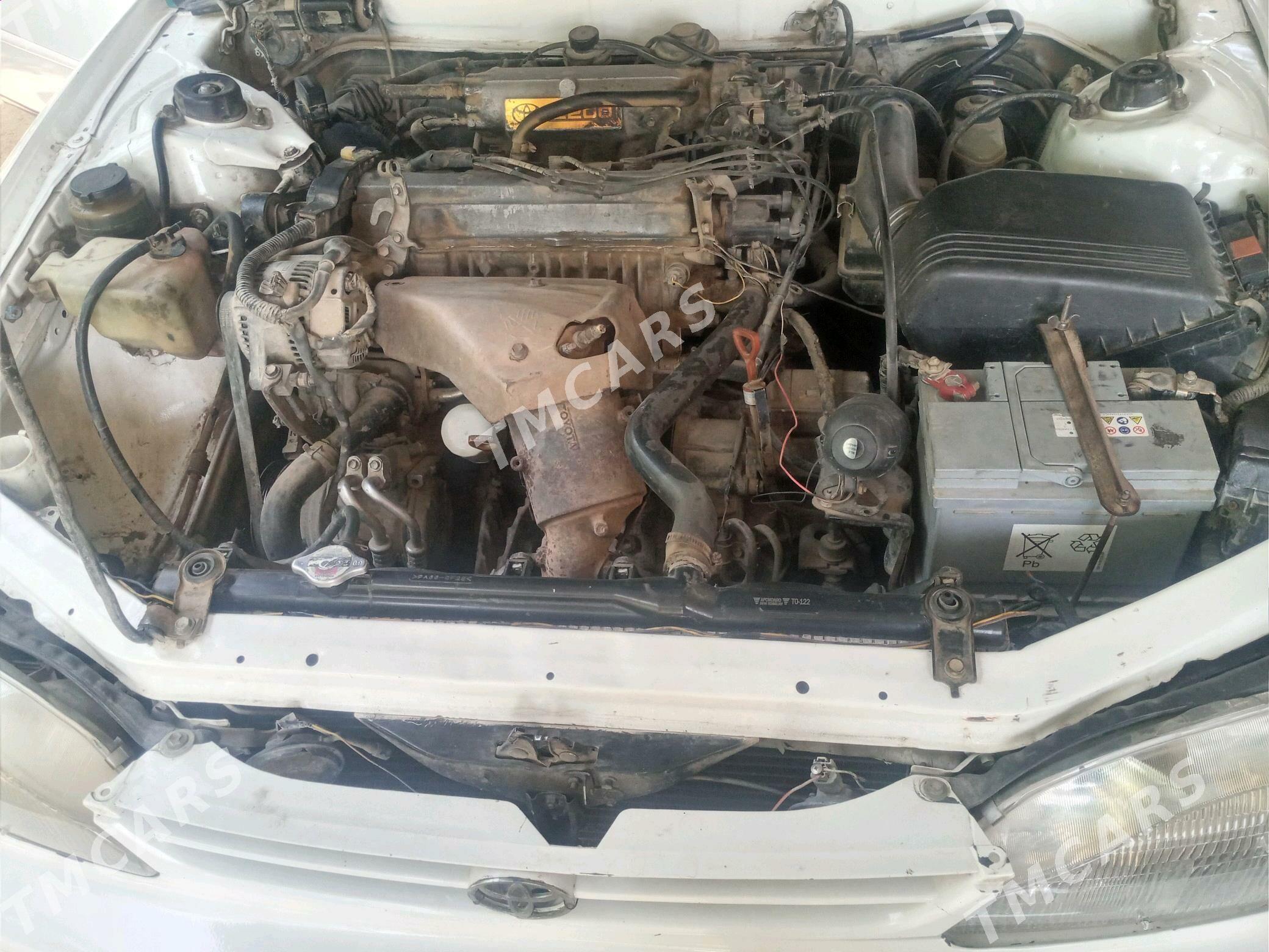 Toyota Camry 1996 - 90 000 TMT - Görogly (Tagta) - img 6