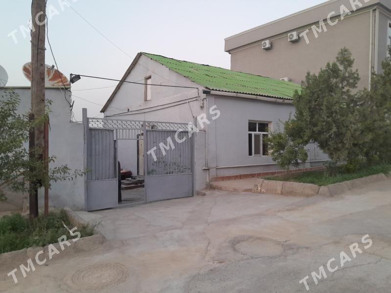 Satlyk jay baÿ köşi - Кëши - img 2
