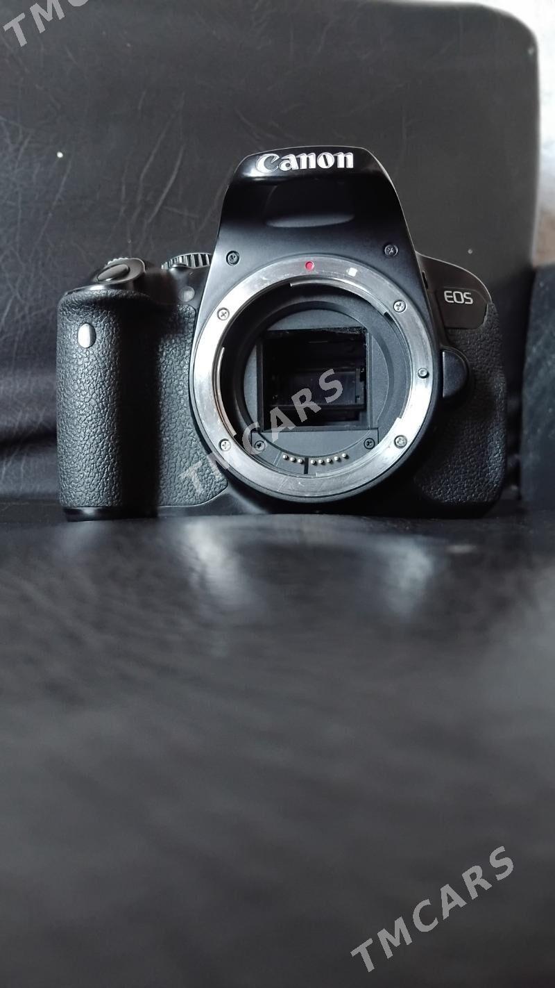 canon - Murgap - img 6