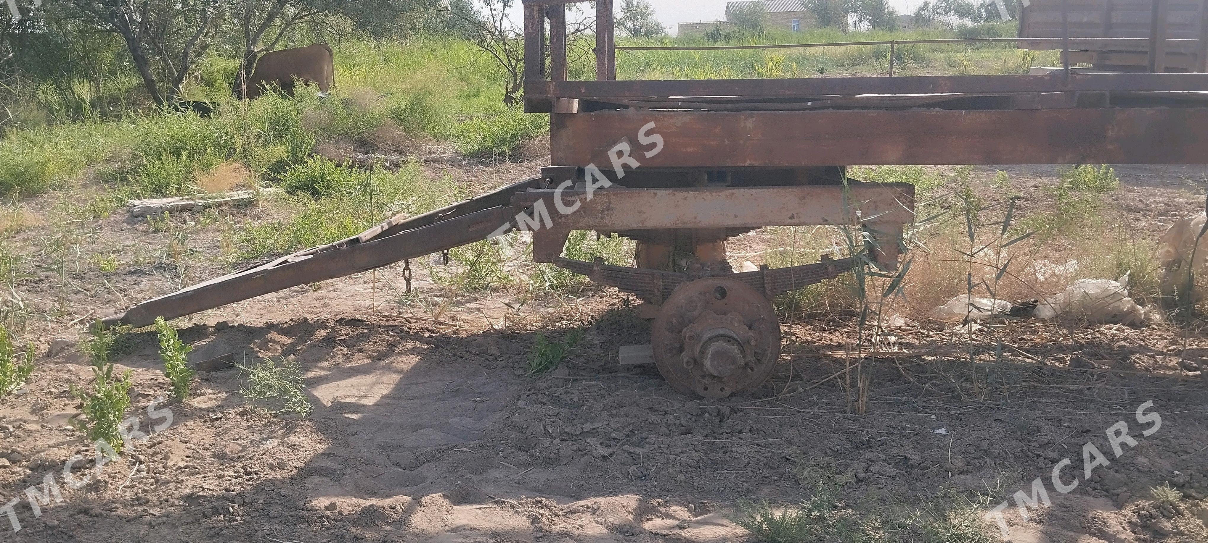 Arp pirissep - Теджен - img 2