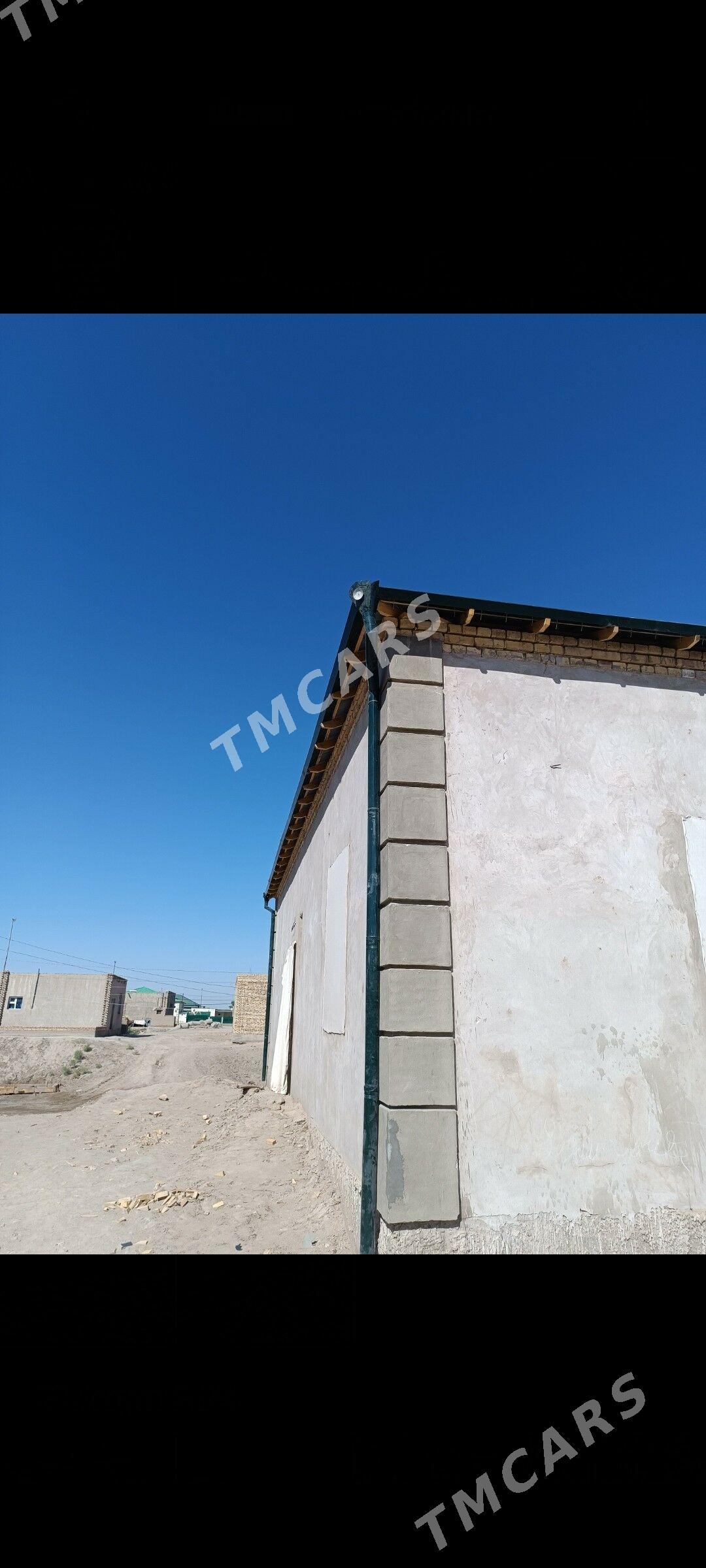 Gulistan - Daşoguz - img 2