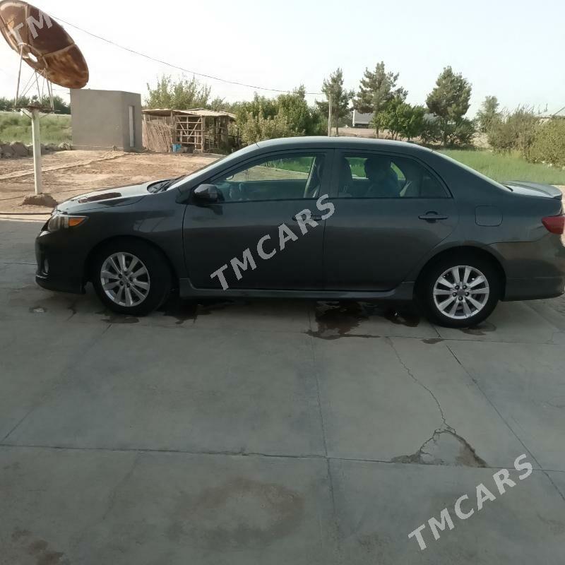 Toyota Corolla 2009 - 115 000 TMT - Baýramaly - img 2