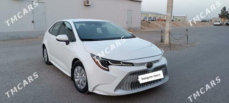 Toyota Corolla 2020 - 213 000 TMT - Mary - img 3