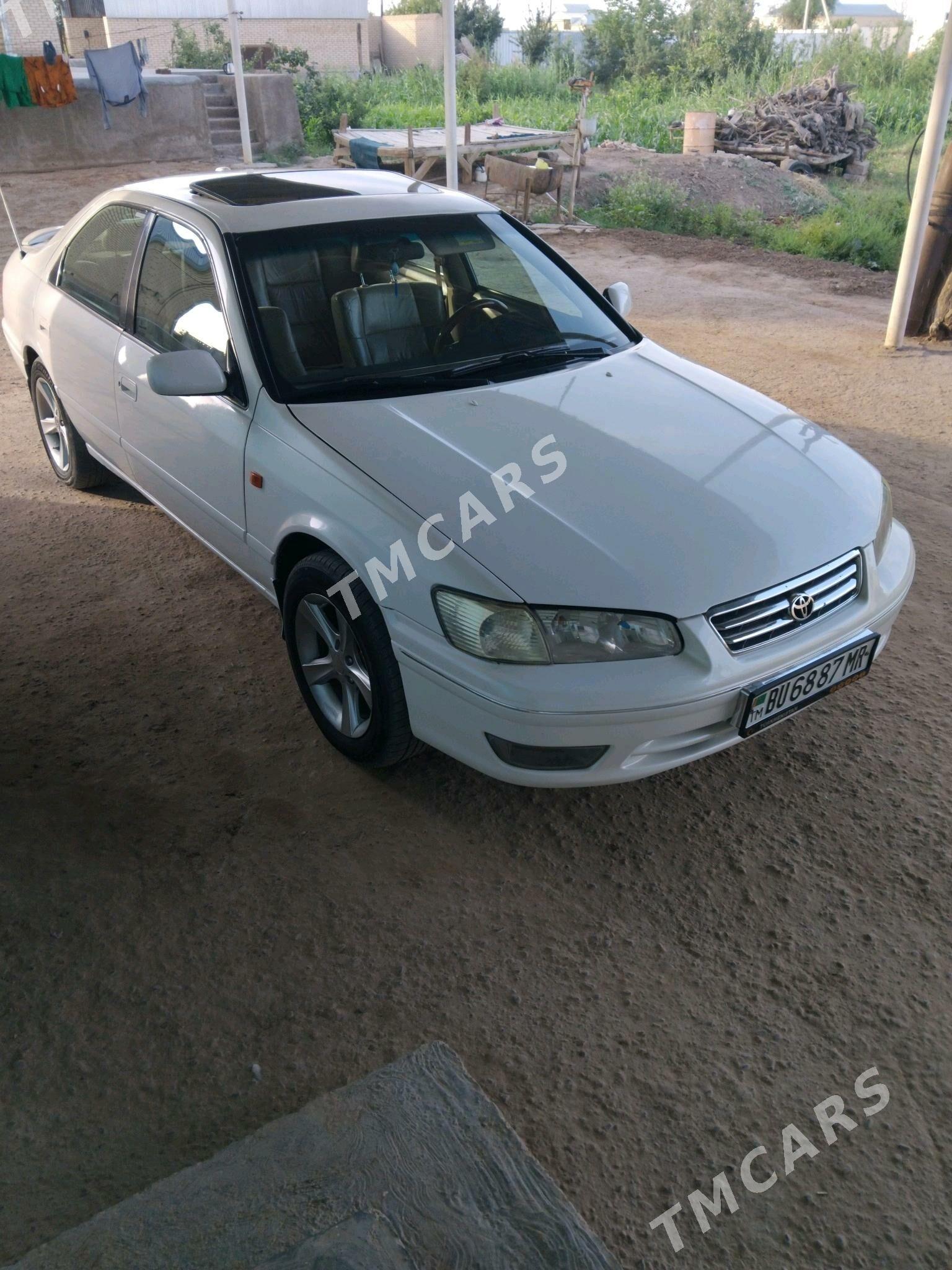 Toyota Camry 1998 - 125 000 TMT - Sakarçäge - img 2