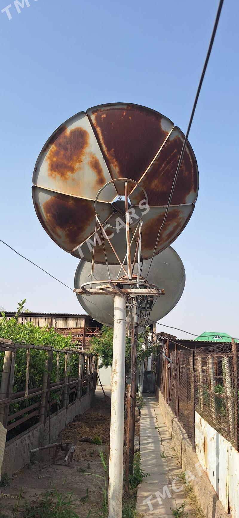 Antenlar - Büzmeýin - img 2