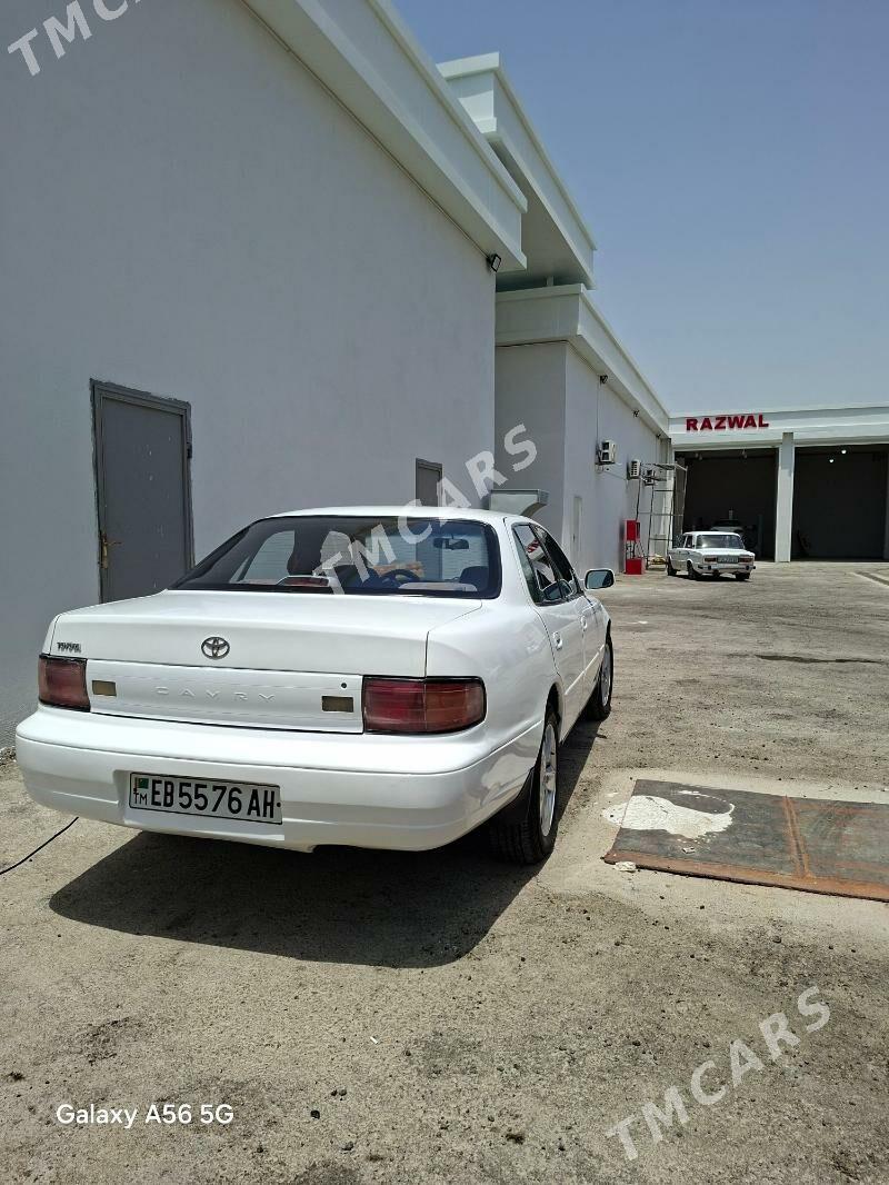 Toyota Camry 1993 - 75 000 TMT - Ak bugdaý etraby - img 5