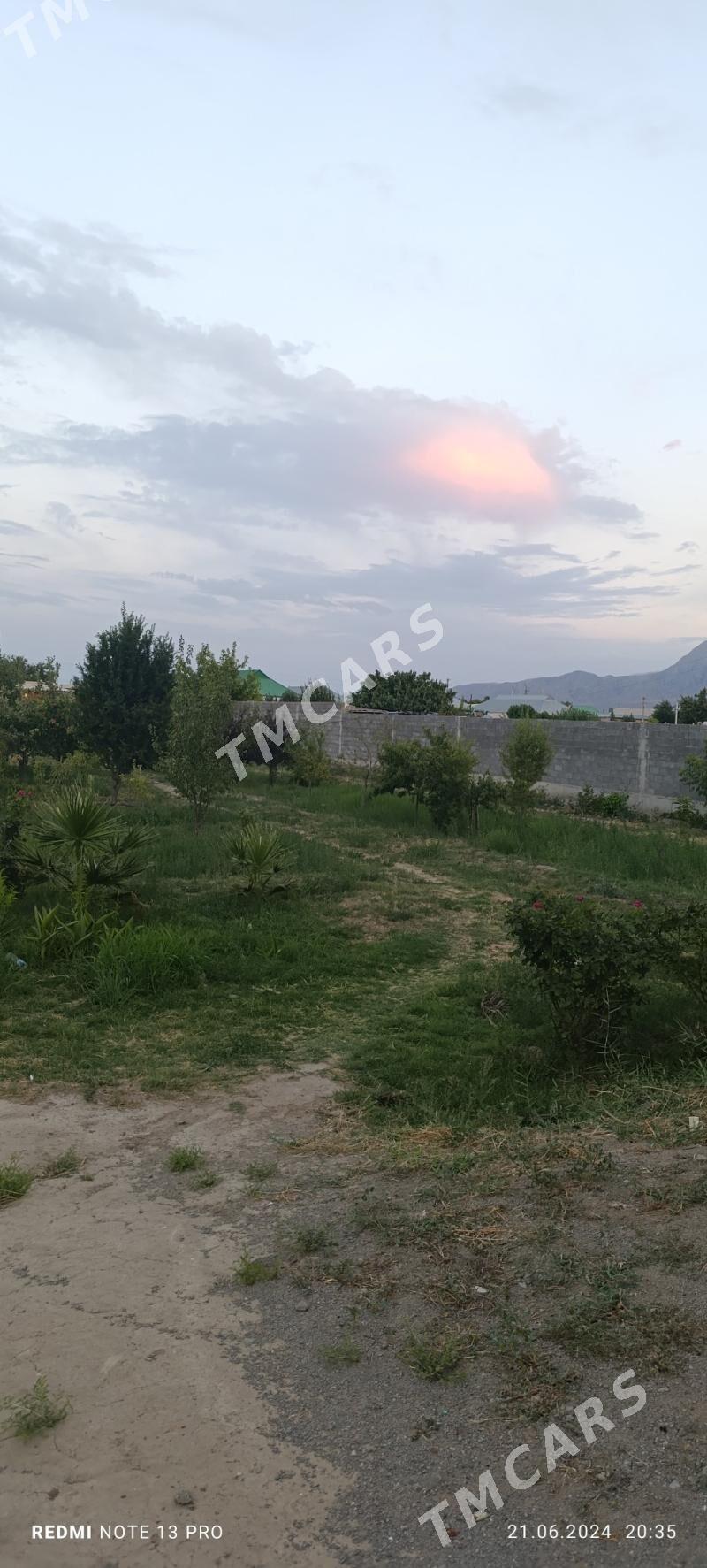 kattej - Aşgabat - img 10