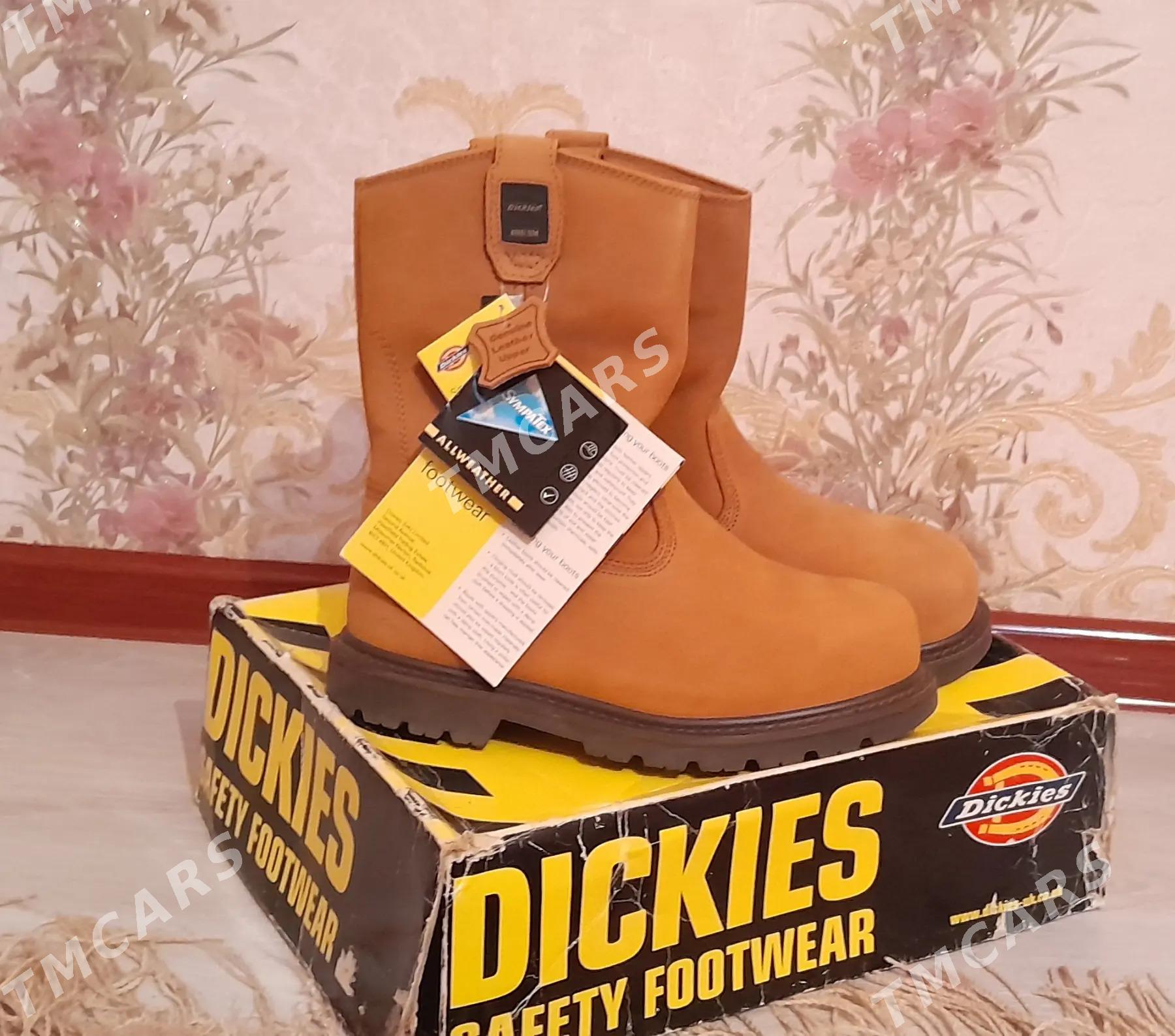 Dickies - Balkanabat - img 3