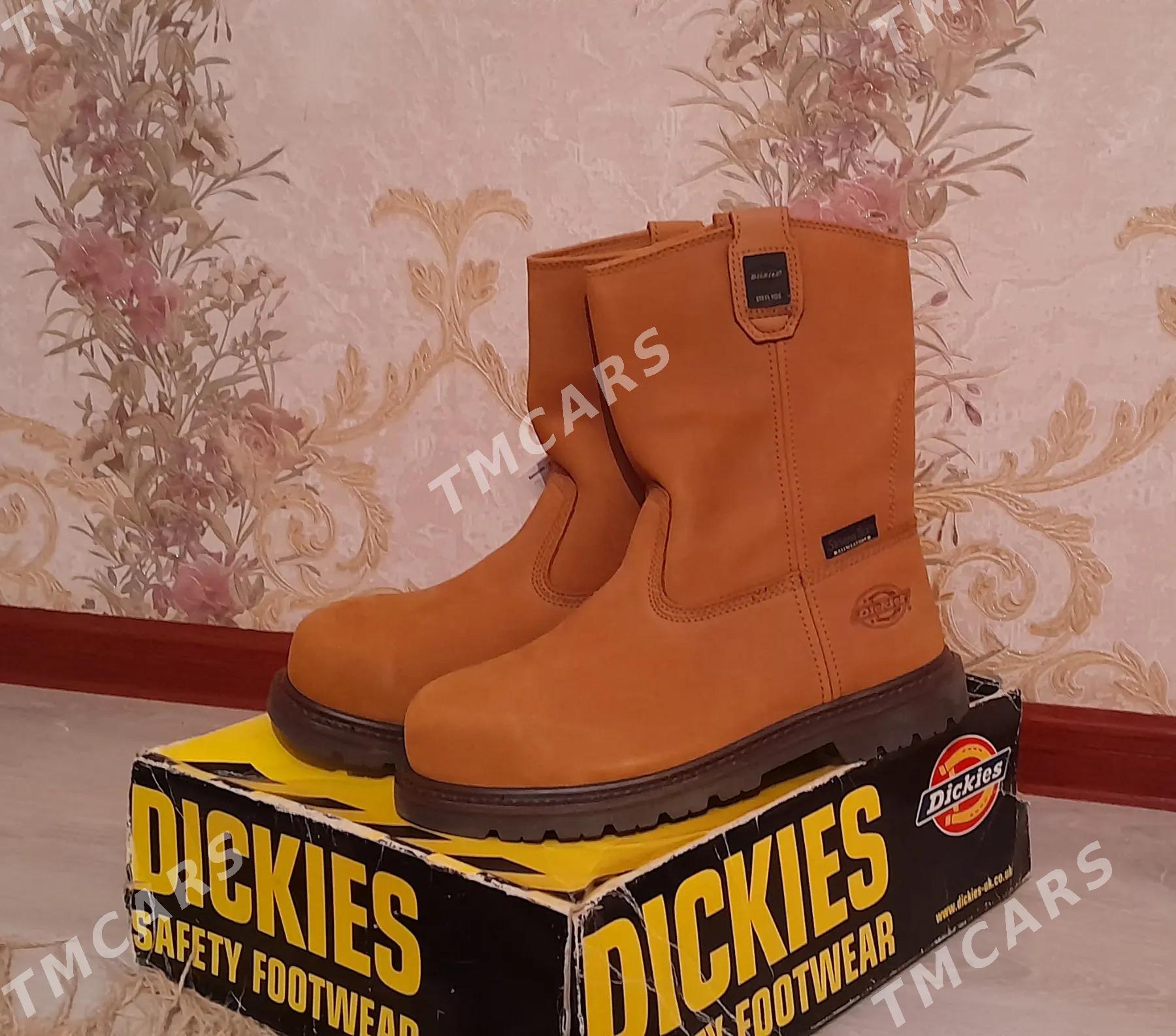 Dickies - Balkanabat - img 2